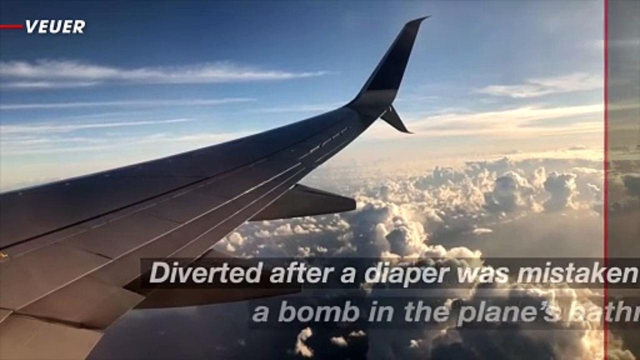 Flight to Florida Diverted Over Diaper Mishap: Bomb Scare Turned Bathroom Blunder