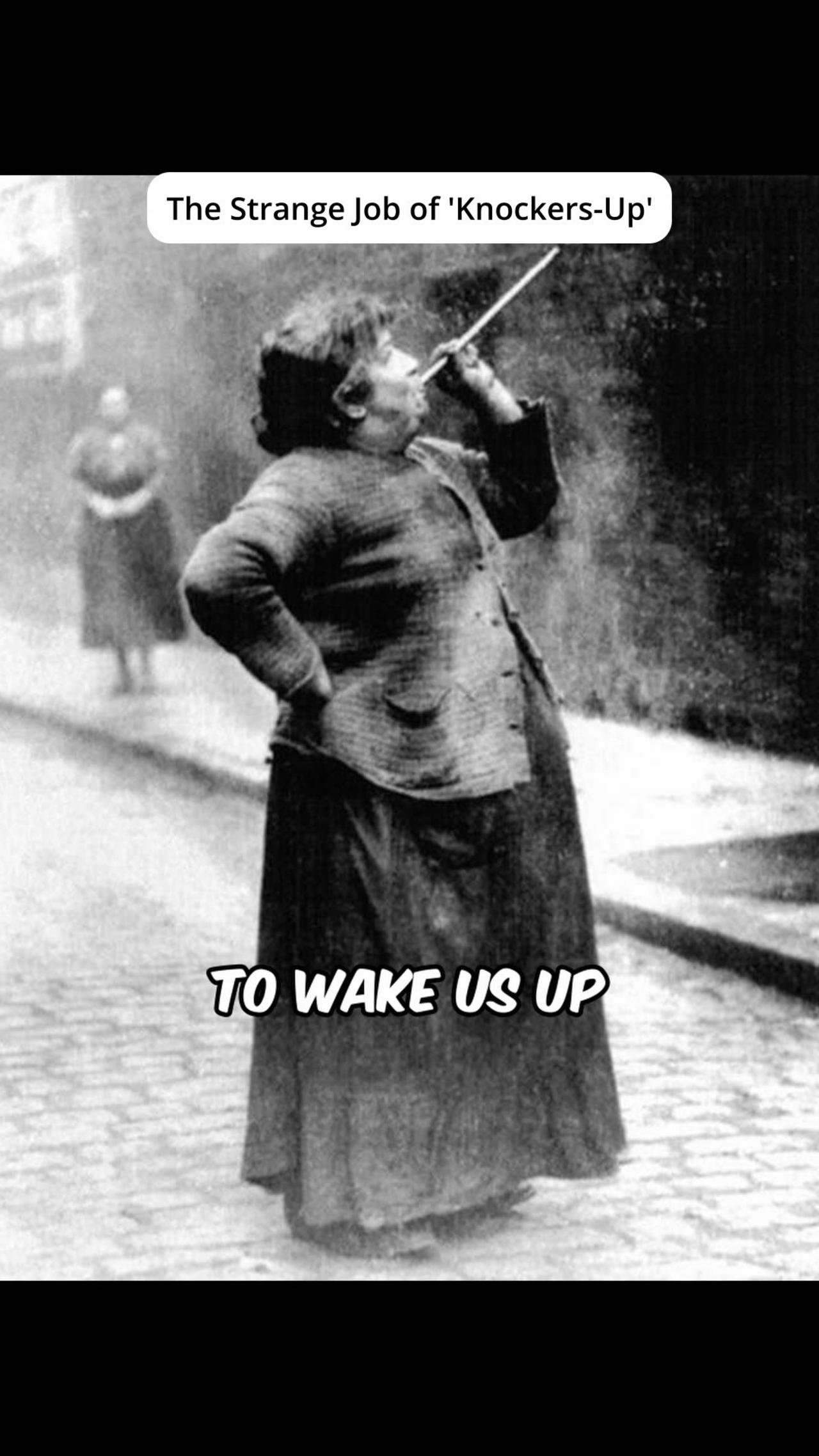 The Quirky History of 'KnockersUp' One News Page VIDEO