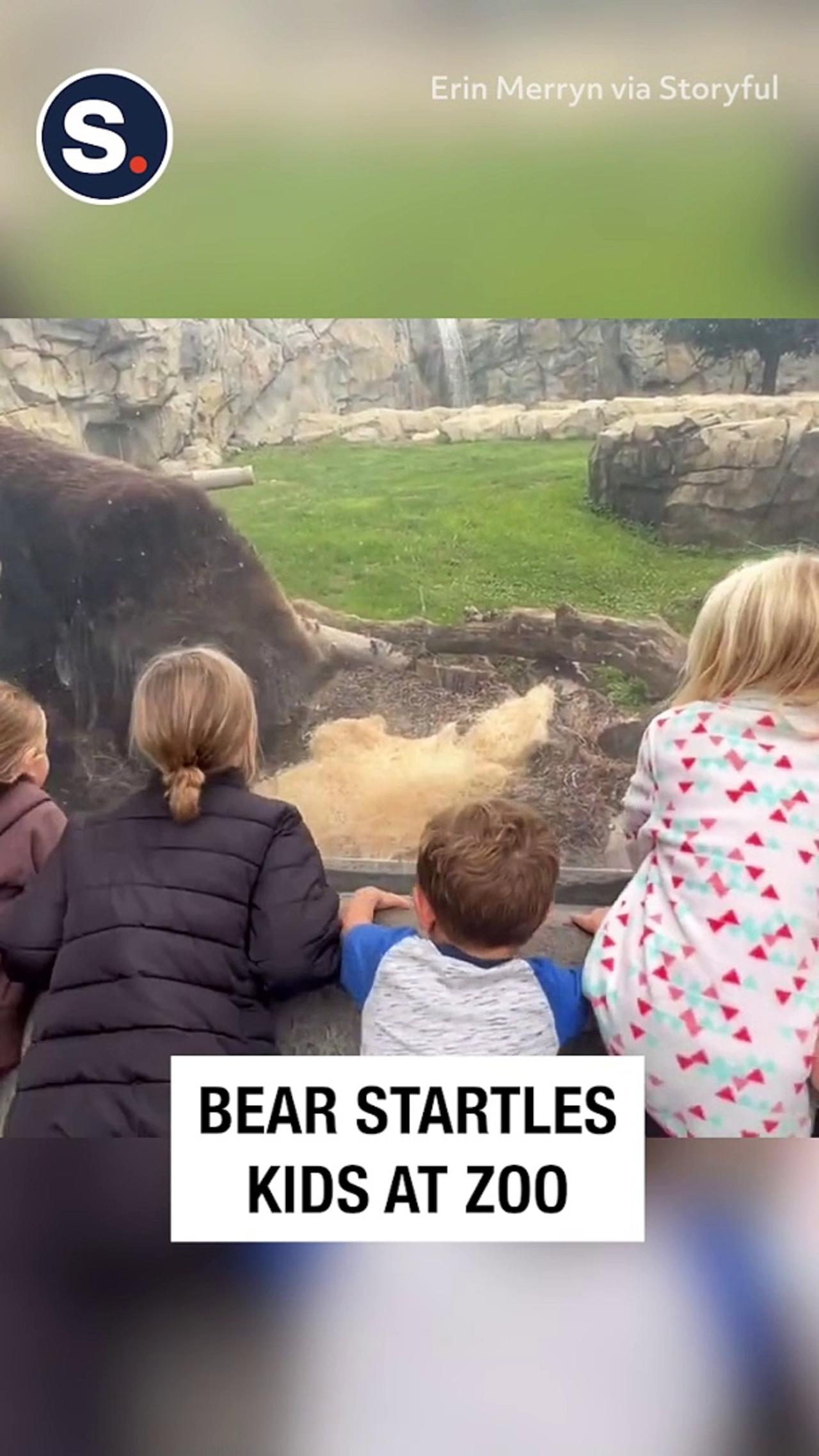 Bear Startles Kids at Zoo
