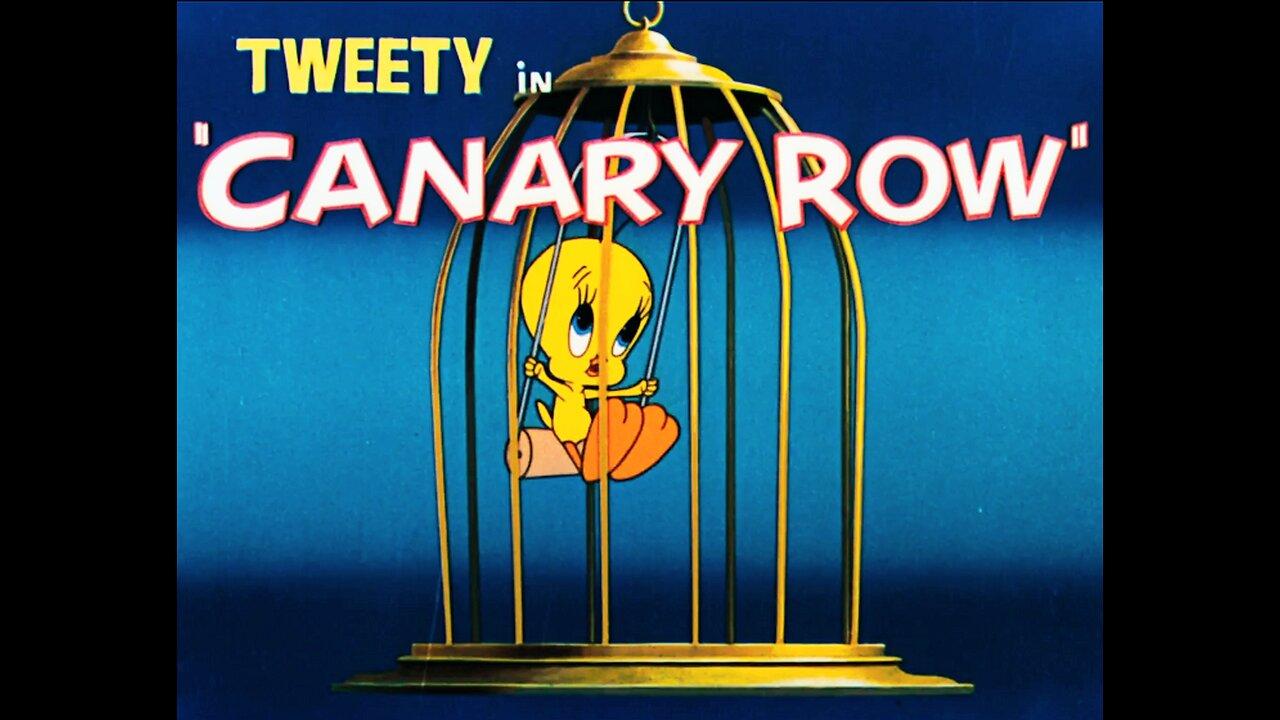 Tweety in Canary Row | Looney Tunes Cartoon 👌🏻👌🏻🤣🤣🤣🤣🤣🤣