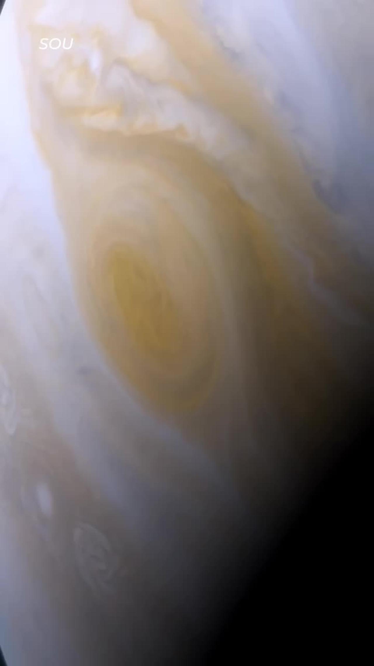 Altered Dog Behavior: Is Your Pet Acting Strange? - bx4f77l