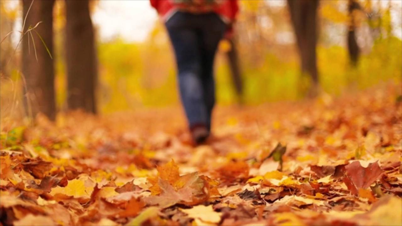 Expert Advice for Staying Healthy This Autumn