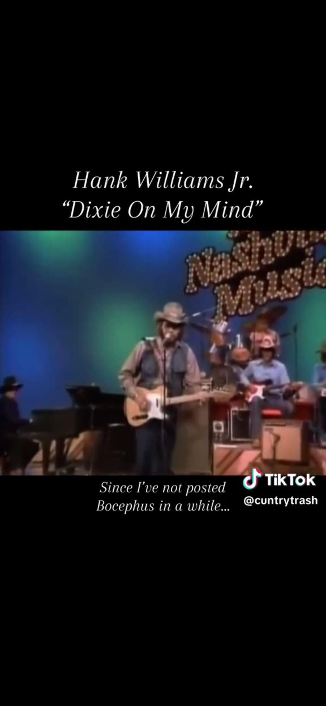 Hank Williams Jr Dixie On My Mind