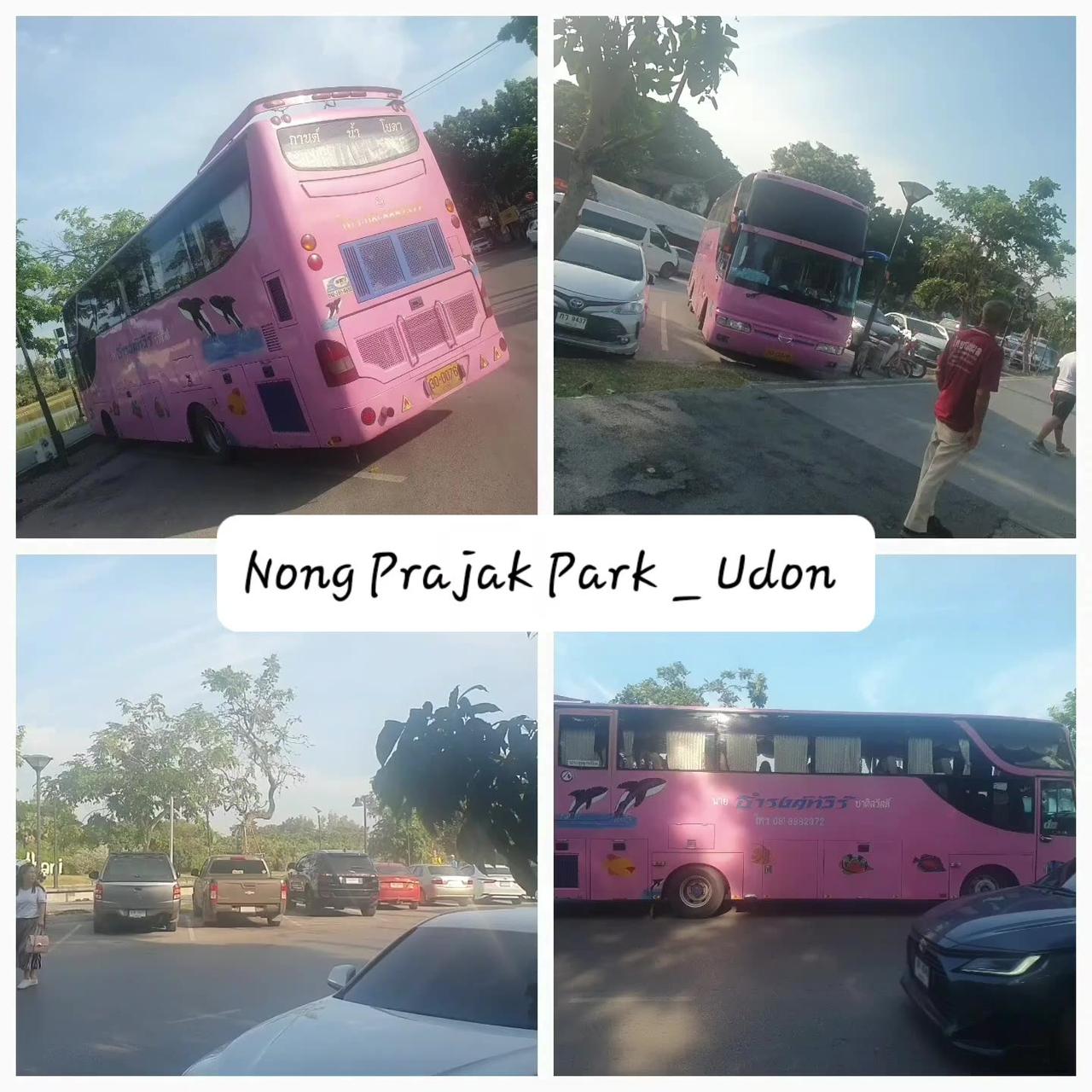 The Big Pink Bus _ Nong Prajak Park _ Saturday Morning in Udon Thani Thailand #pinkbus #shorts