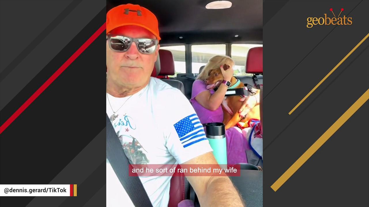 Shy shelter dog loves everyone in his new family