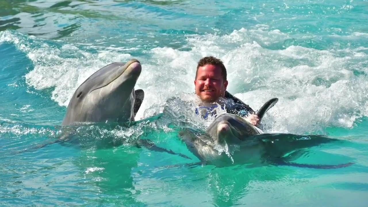 Swimming with the dolphins in the Bahamas