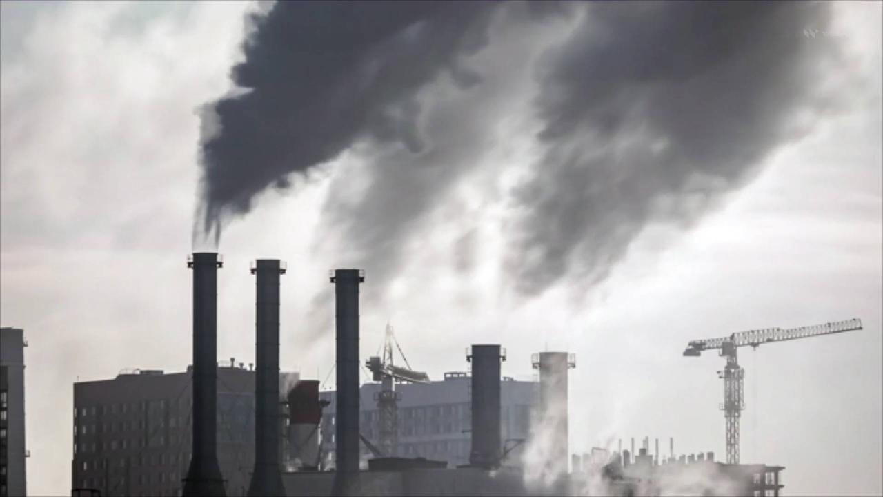 Scientists Link Air Pollution Exposure to Early-Onset Puberty in Girls