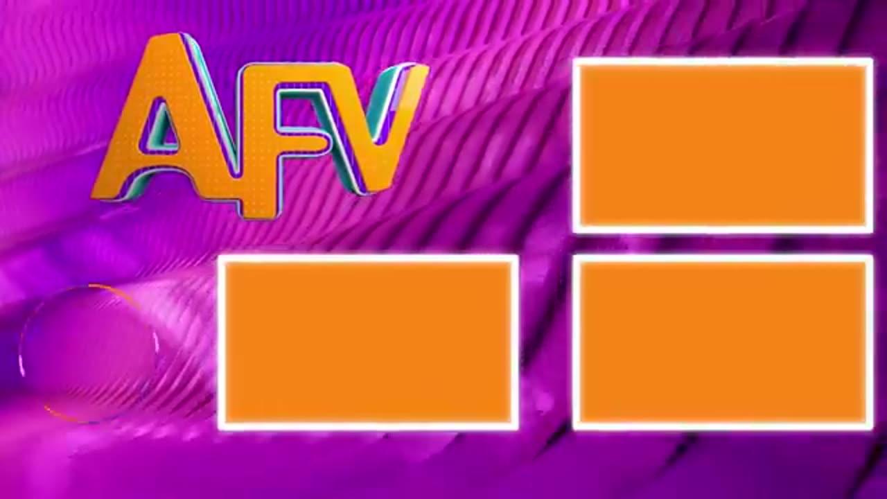 Comedy video best video One News Page VIDEO