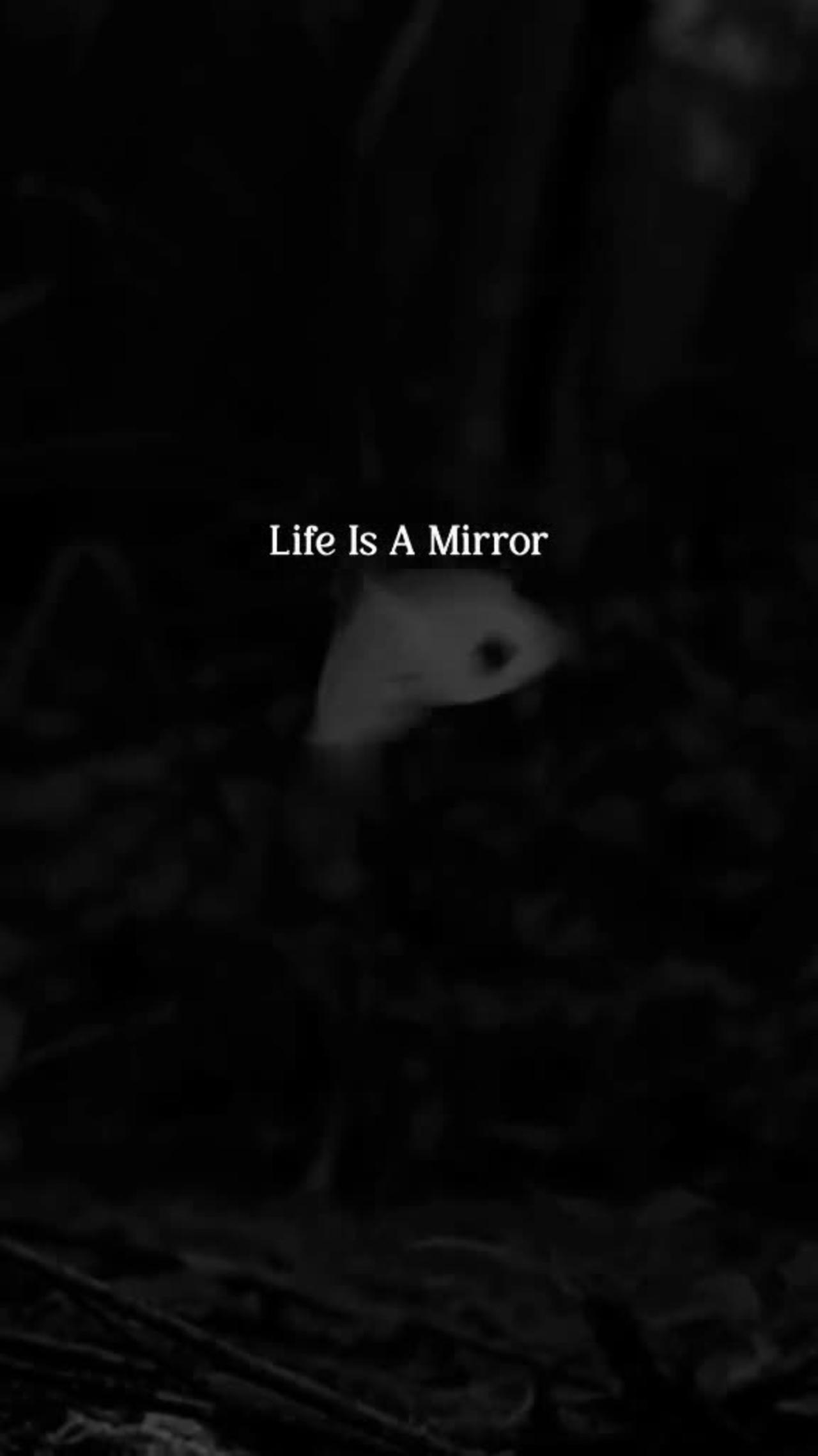 Life is a mirror