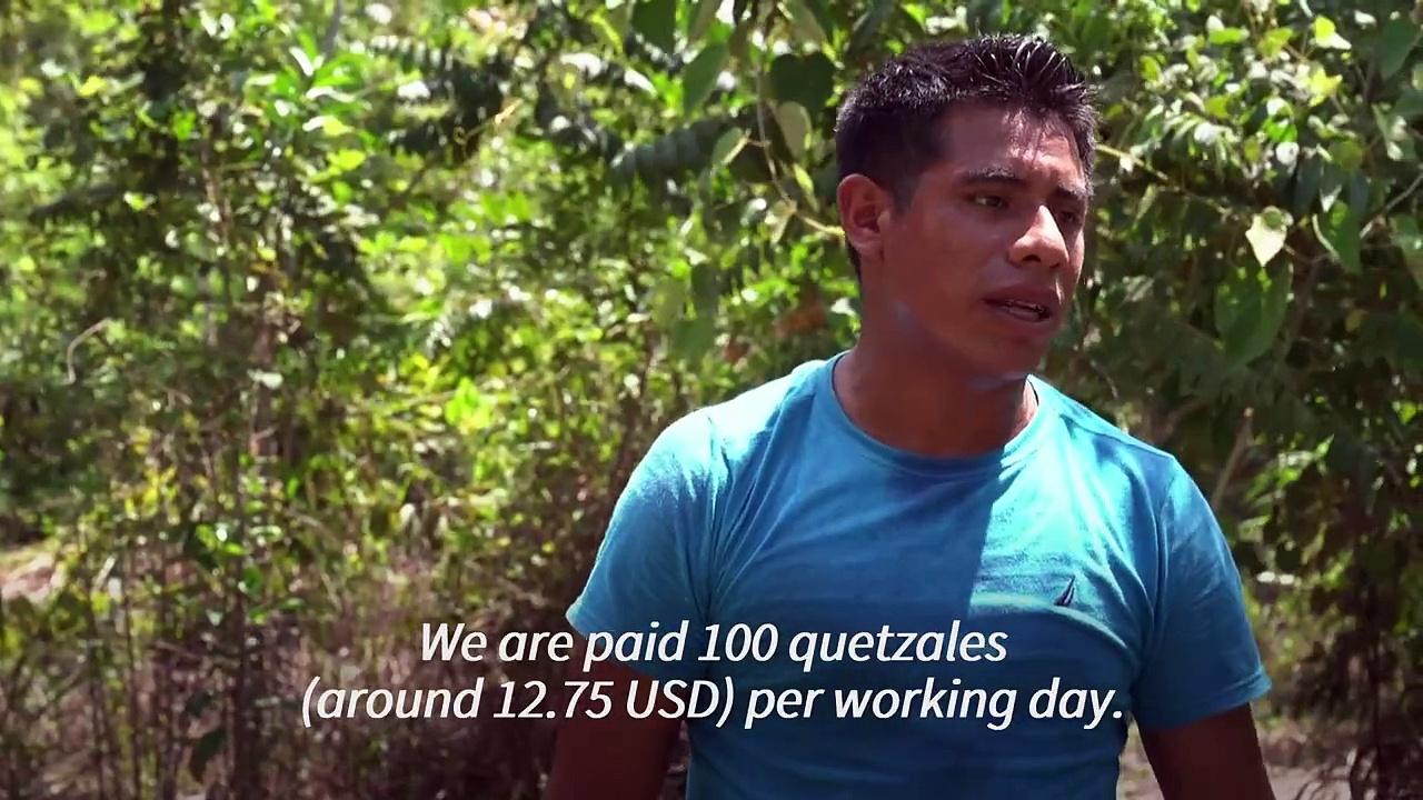 Guatemalans' fight to reclaim Central America's largest reserve from illegal activities
