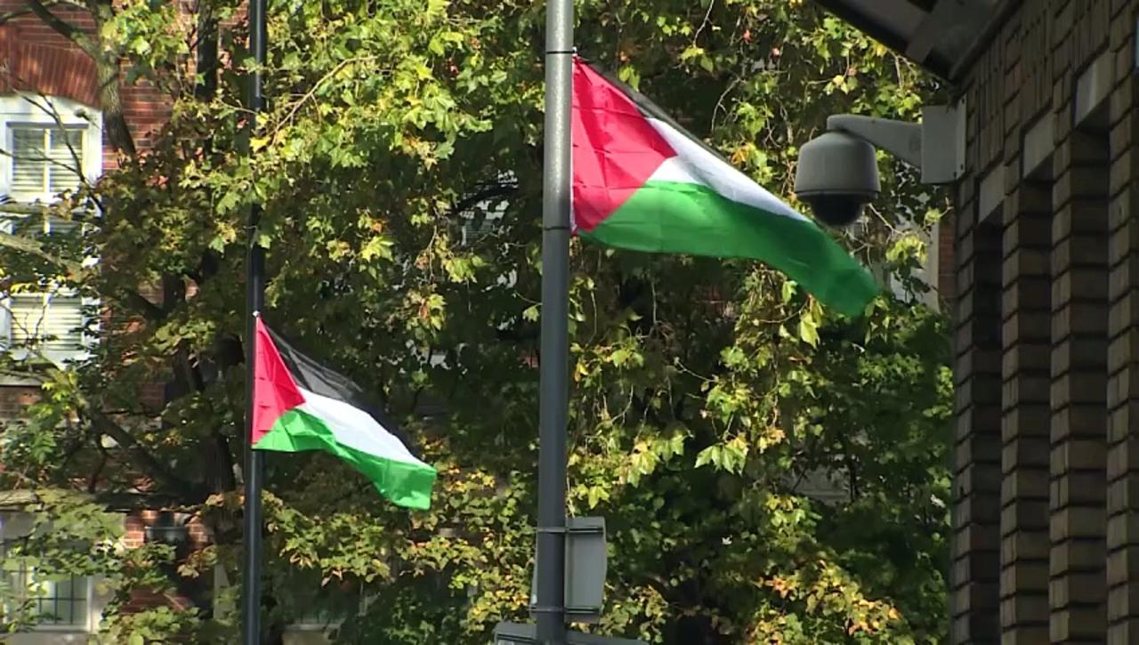 Palestinian flags removed in east London after concerns