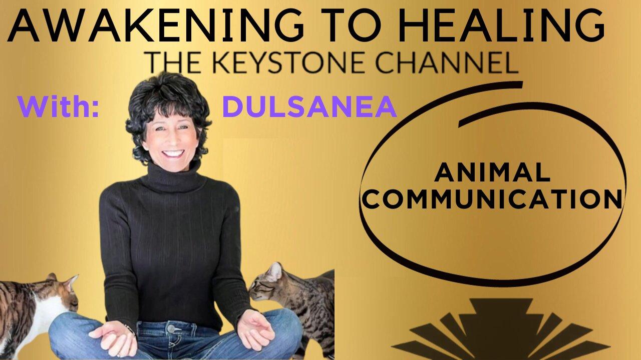 Awakening To Healing: With Dulsanea - Animal Communications