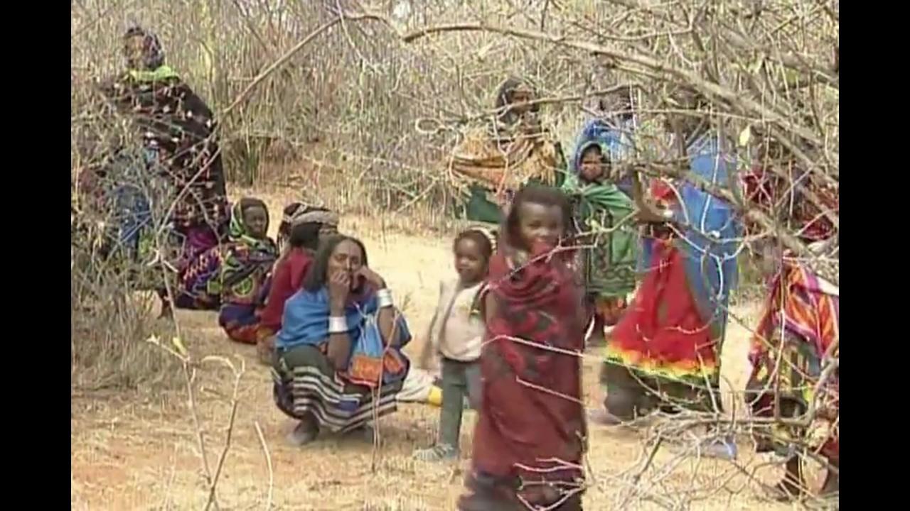 Characterization of Abiy-led Ethiopian ruling elites as ‘Oromummaa government'