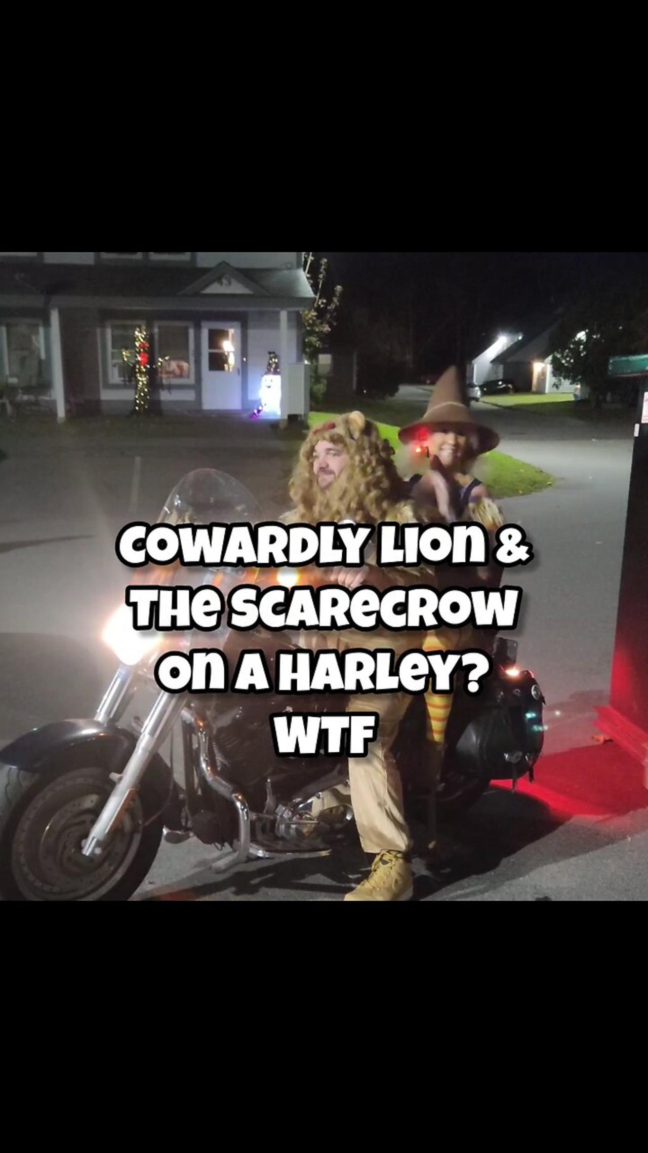Cowardly lion on a Harley hurts tail