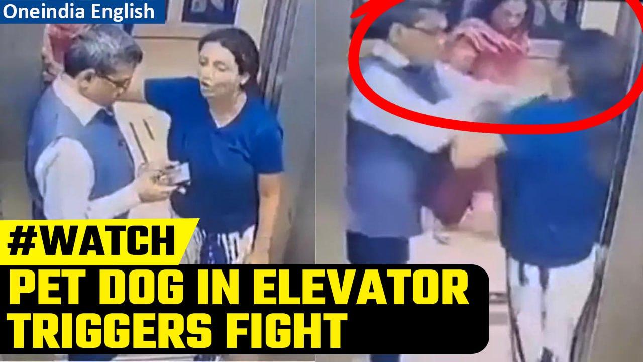 Viral Video: Dog in Noida Apartment lift leads to a massive fight between man, woman | Oneindia