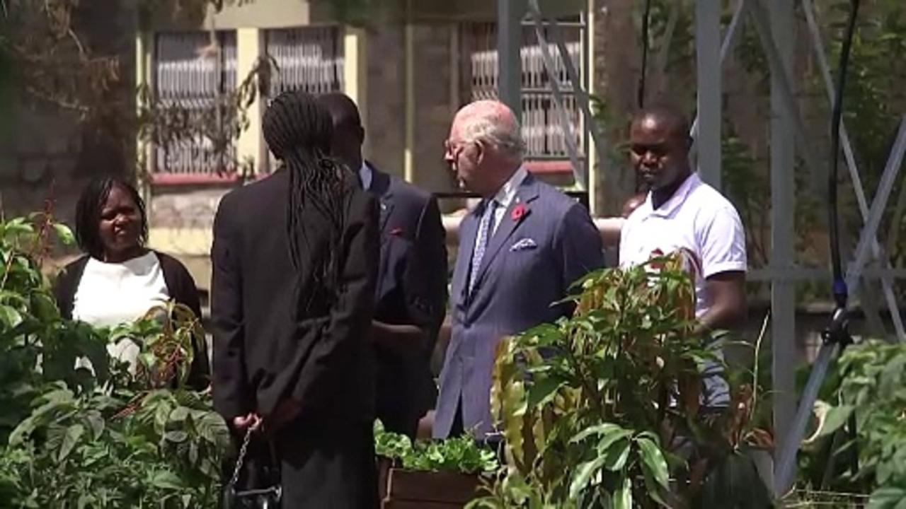King Charles gets a glimpse of Kenya's urban agriculture