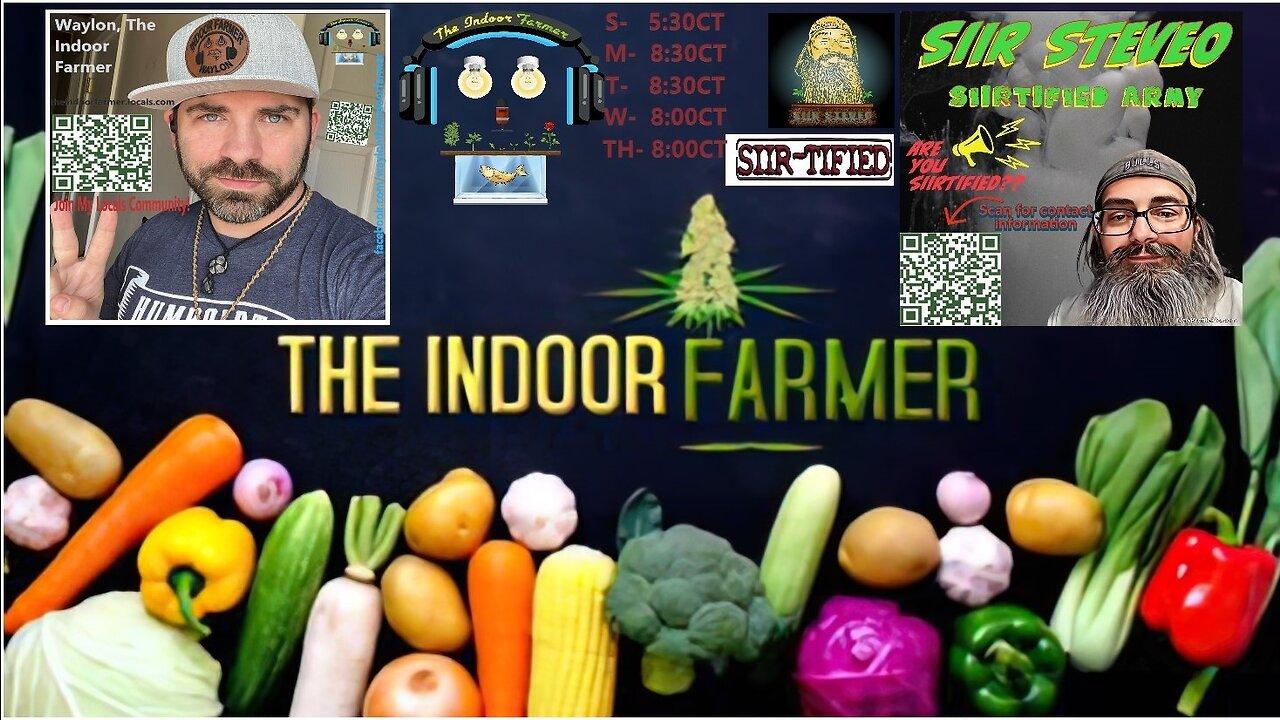 The Indoor Farmer #109! Trim Time For The Recent Harvest & Continuing Rebuild!