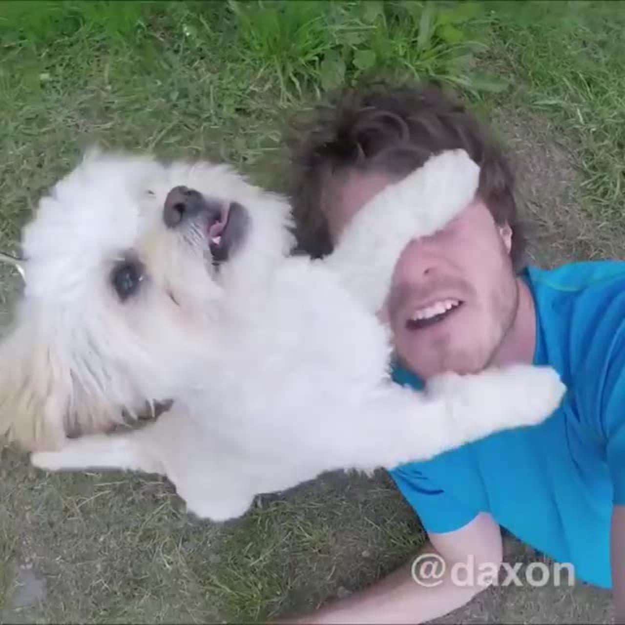 Funny animal videos 🤣🤣