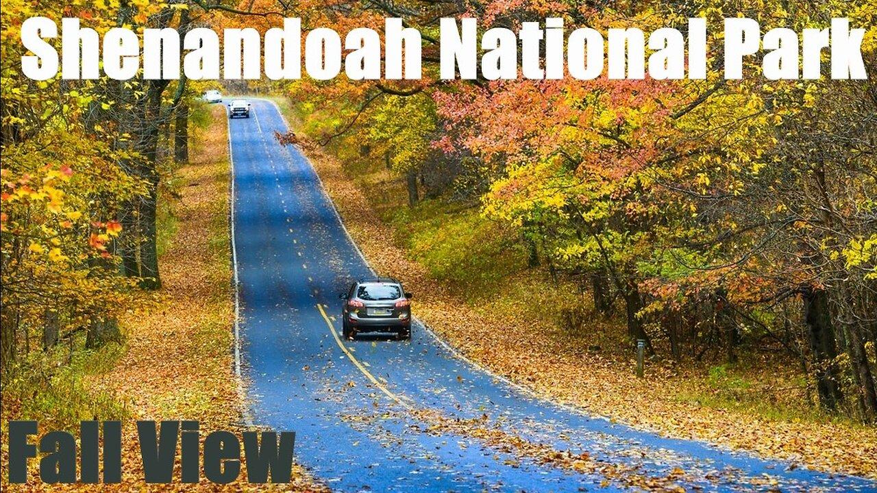 Roadtrip Going to Shenandoah National Park Virginia