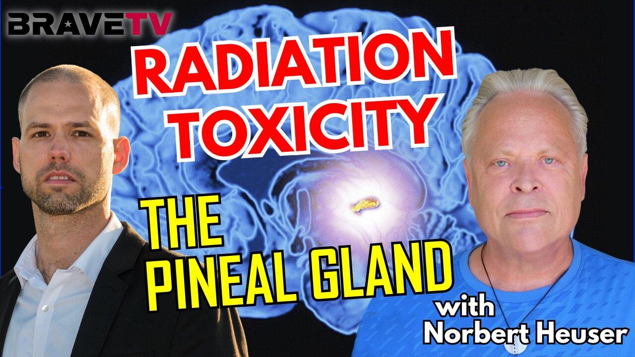Brave TV - Nov 1, 2023 - The Radiation Dangers Frying our Brain and Destroying the PIneal Gland