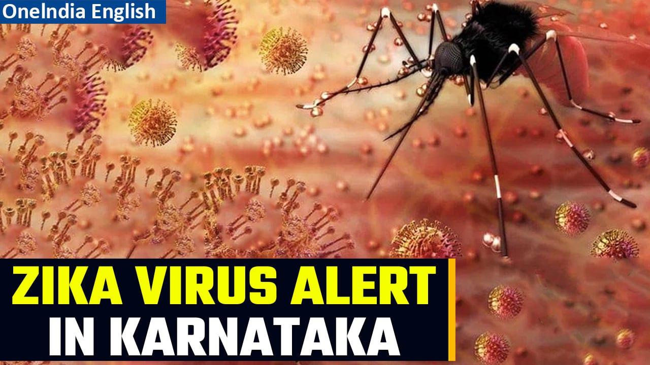 Karnataka: Zika Virus found in mosquitoes in Chikkaballapur, authorities on alert | Oneindia News