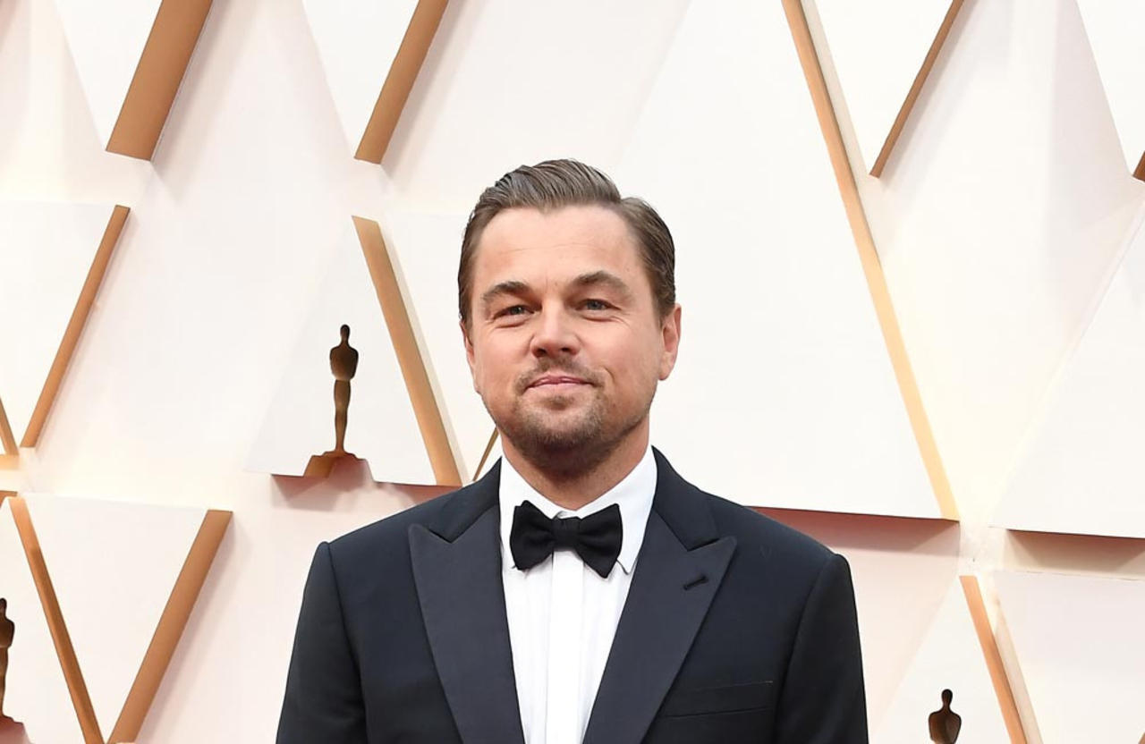 Leonardo DiCaprio has reportedly gone 'exclusive' with Vittoria Ceretti