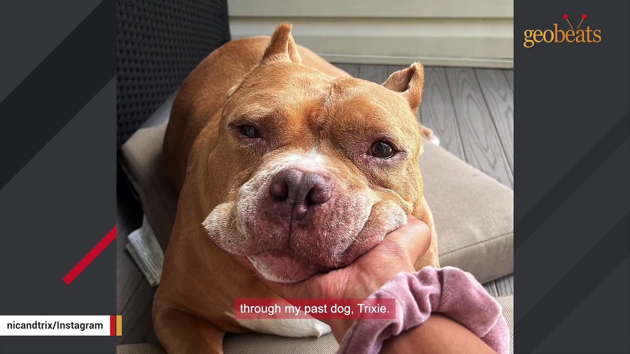Shelter dog finally has a home after heartbreaking loss