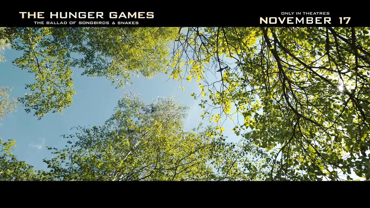 THE HUNGER GAMES 5 Movie