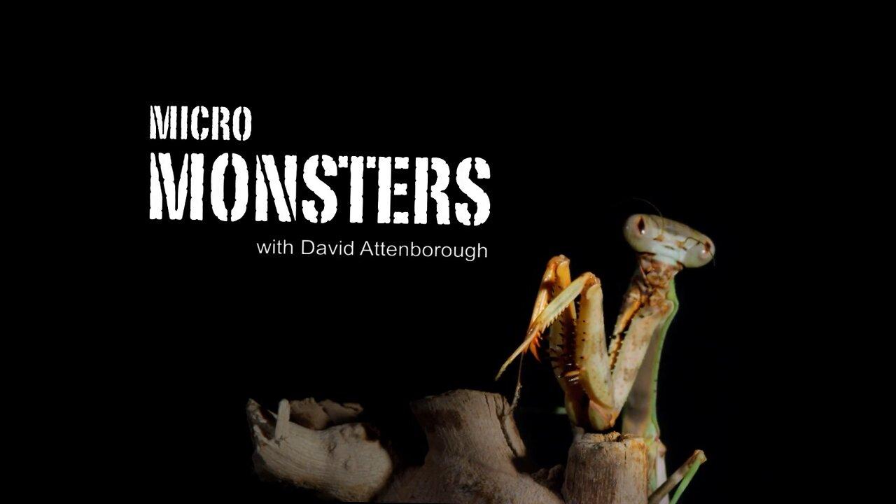 micro monsters-ep4- david attenborough- documentary