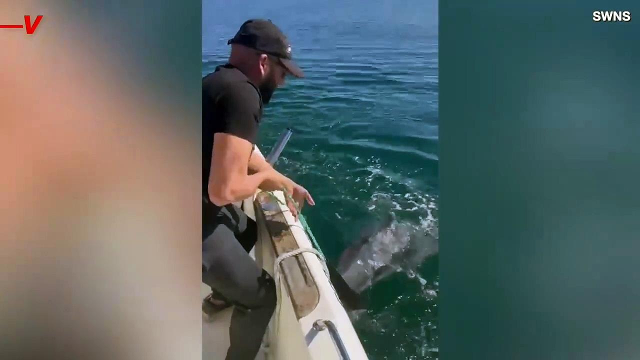 Must See! Pair of Fisherman Rescue a Baby Dolphin Trapped In a Net With the Help of Its Mom
