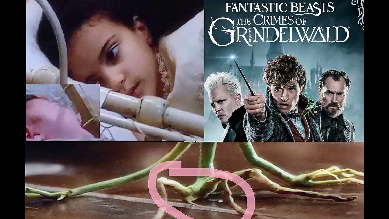 review, Fantastic Beasts, 2018, the crimes of , junky depp,