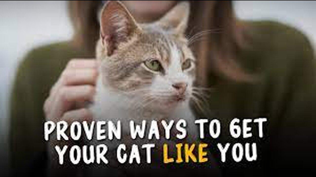 10 Scientific Ways to Get a Cat to Like You One News Page VIDEO