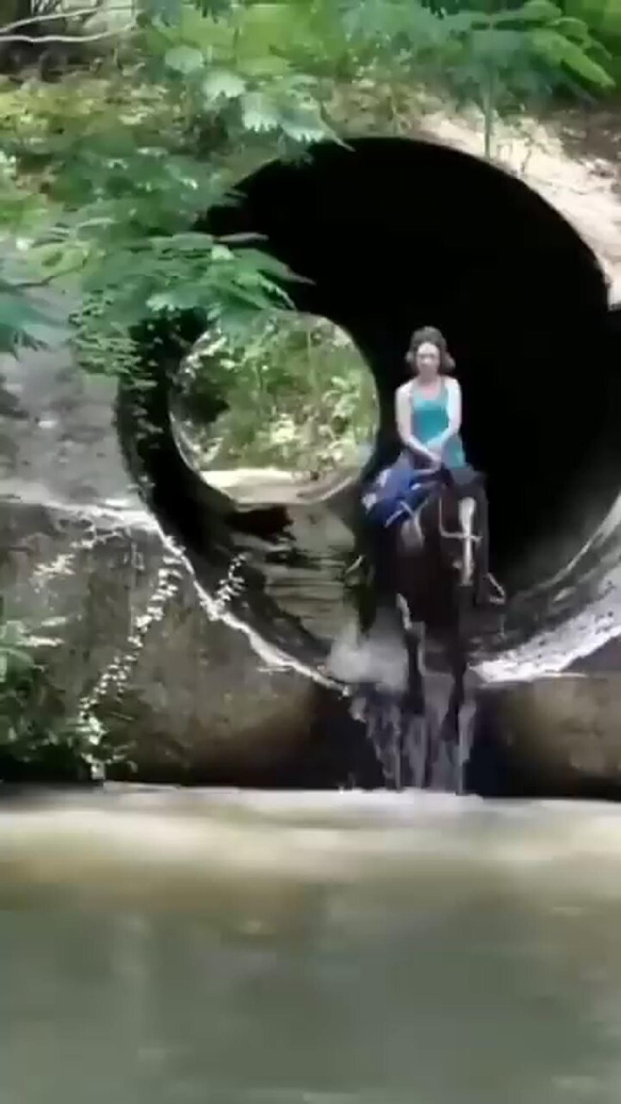 funny clips One News Page VIDEO