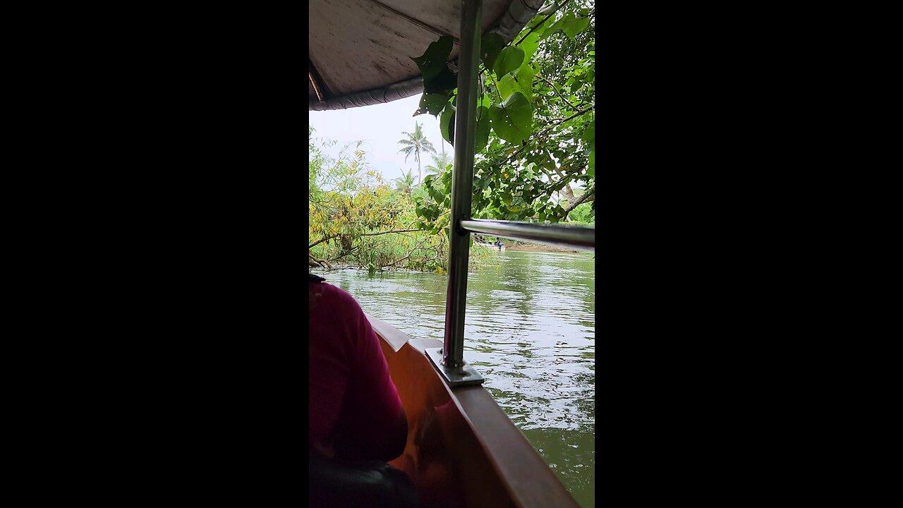 Boat riding in mangrove forest
