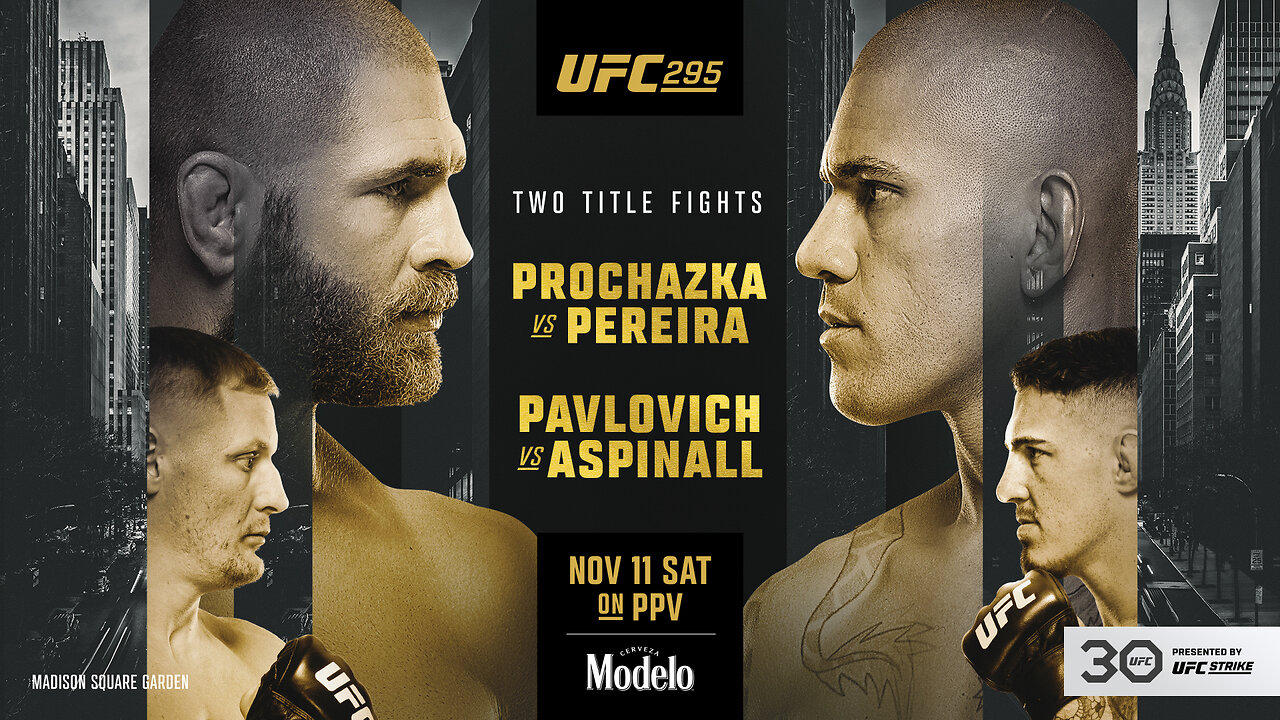 UFC 295: Procházka vs Pereira |  November 11, 2023!