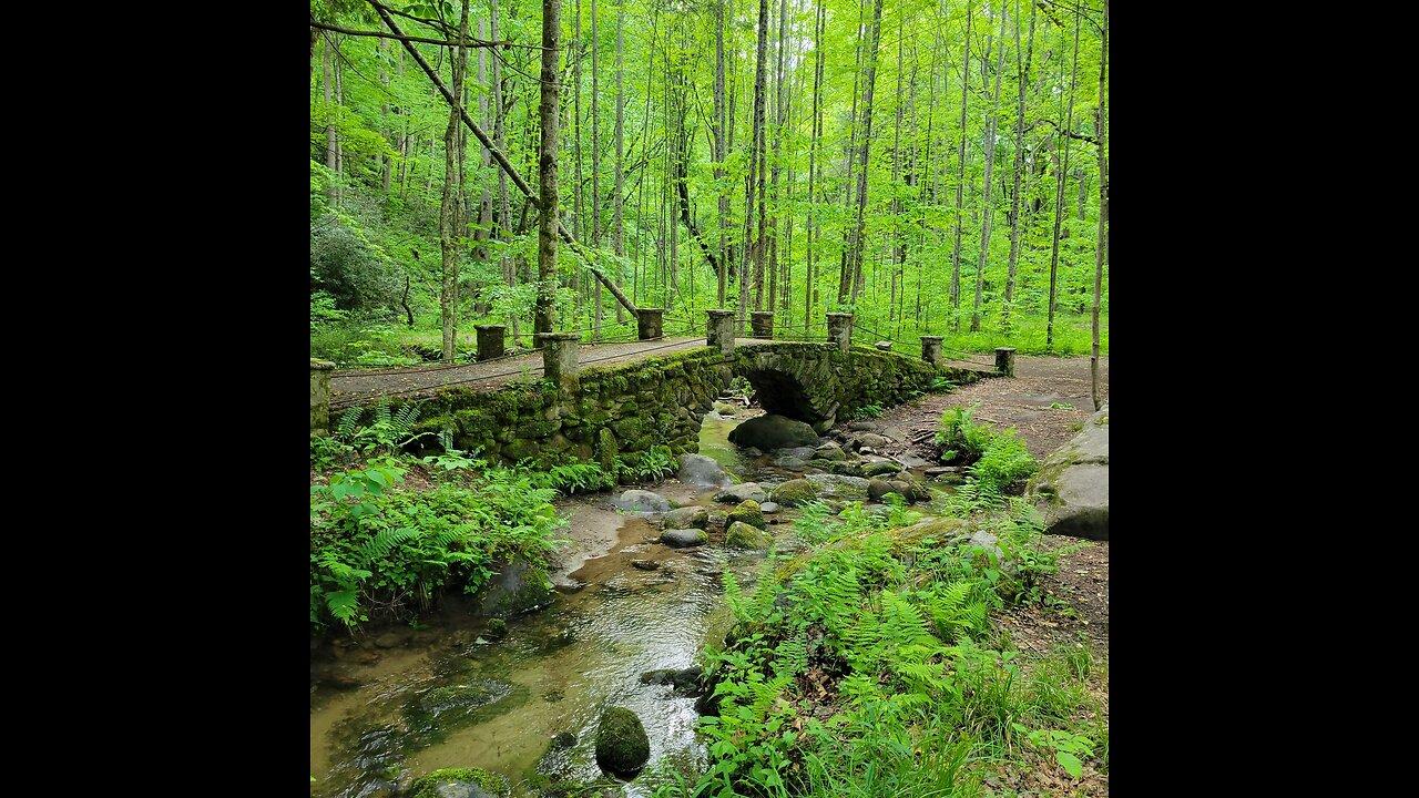 Elkmont Ghost Town Troll Bridge - Great Smoky Mountains National Park