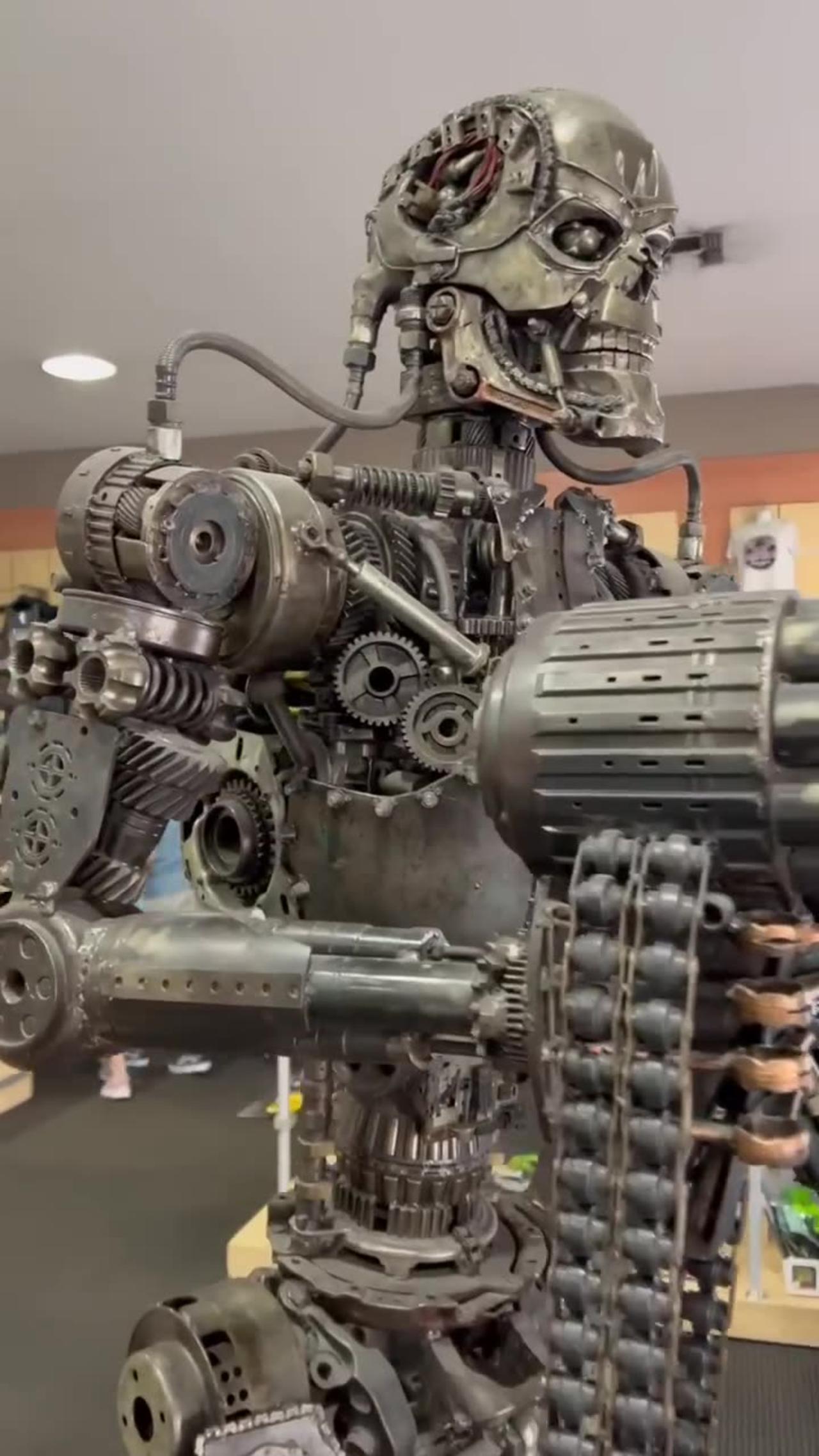 TERMINATOR - One News Page VIDEO