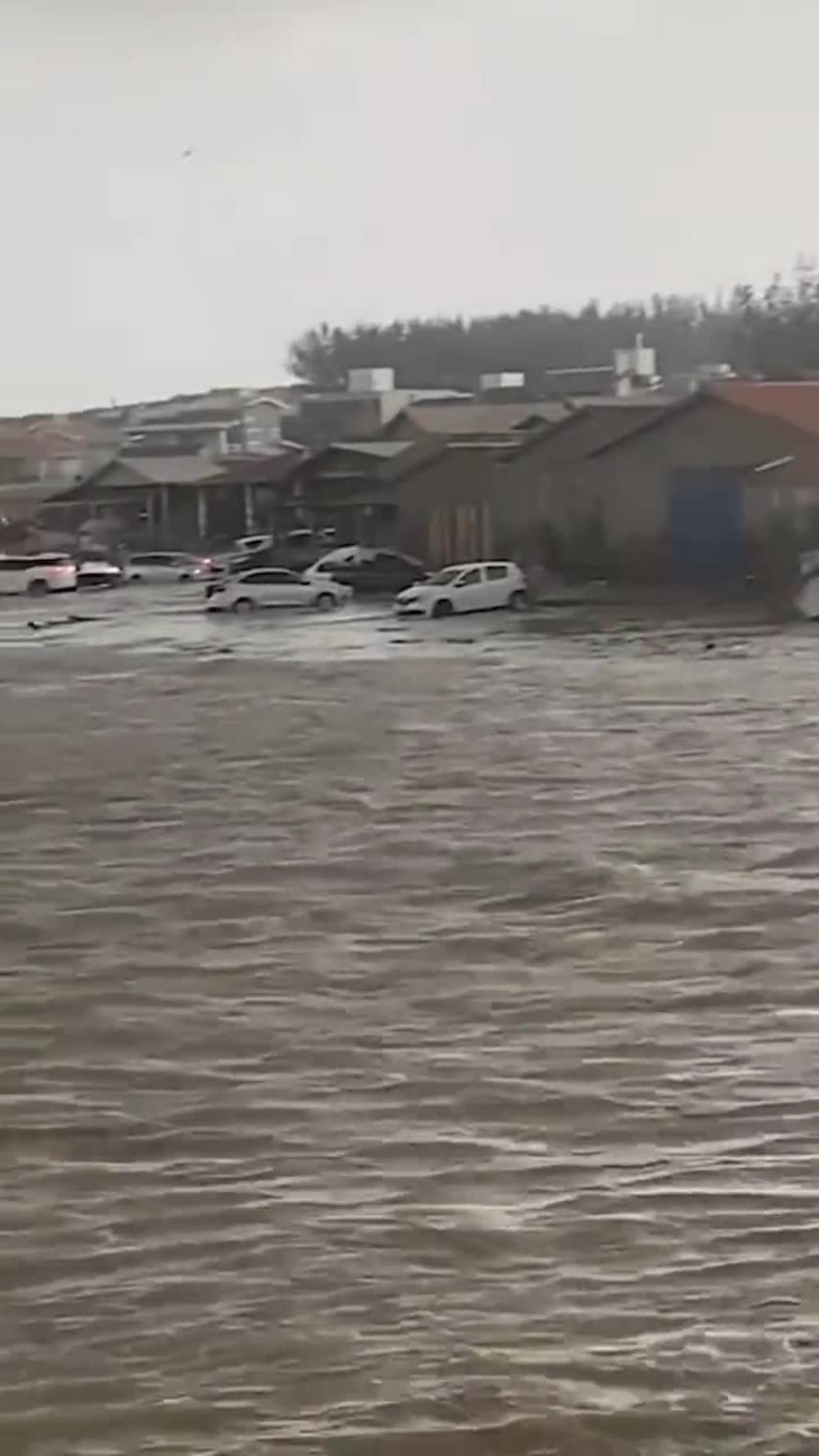 Tsunami update laguna beach