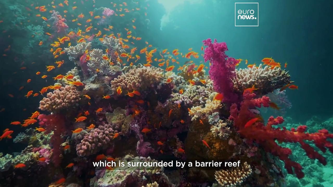 Untouched waters: The Saudi Arabian destination promising scuba fans unparalleled diving