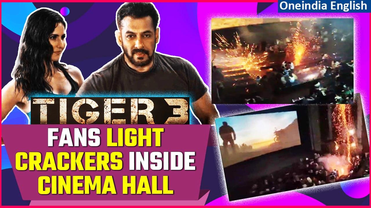 Salman Khan's Film Celebration Takes a Dangerous Turn in 'Tiger 3' Screening | Oneindia News