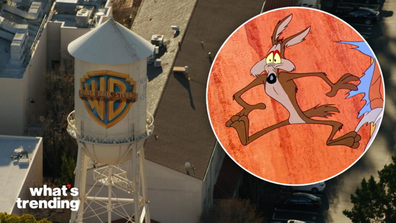 Warner Bros. Reverses 'Coyote vs ACME' Decision After Public Outrage