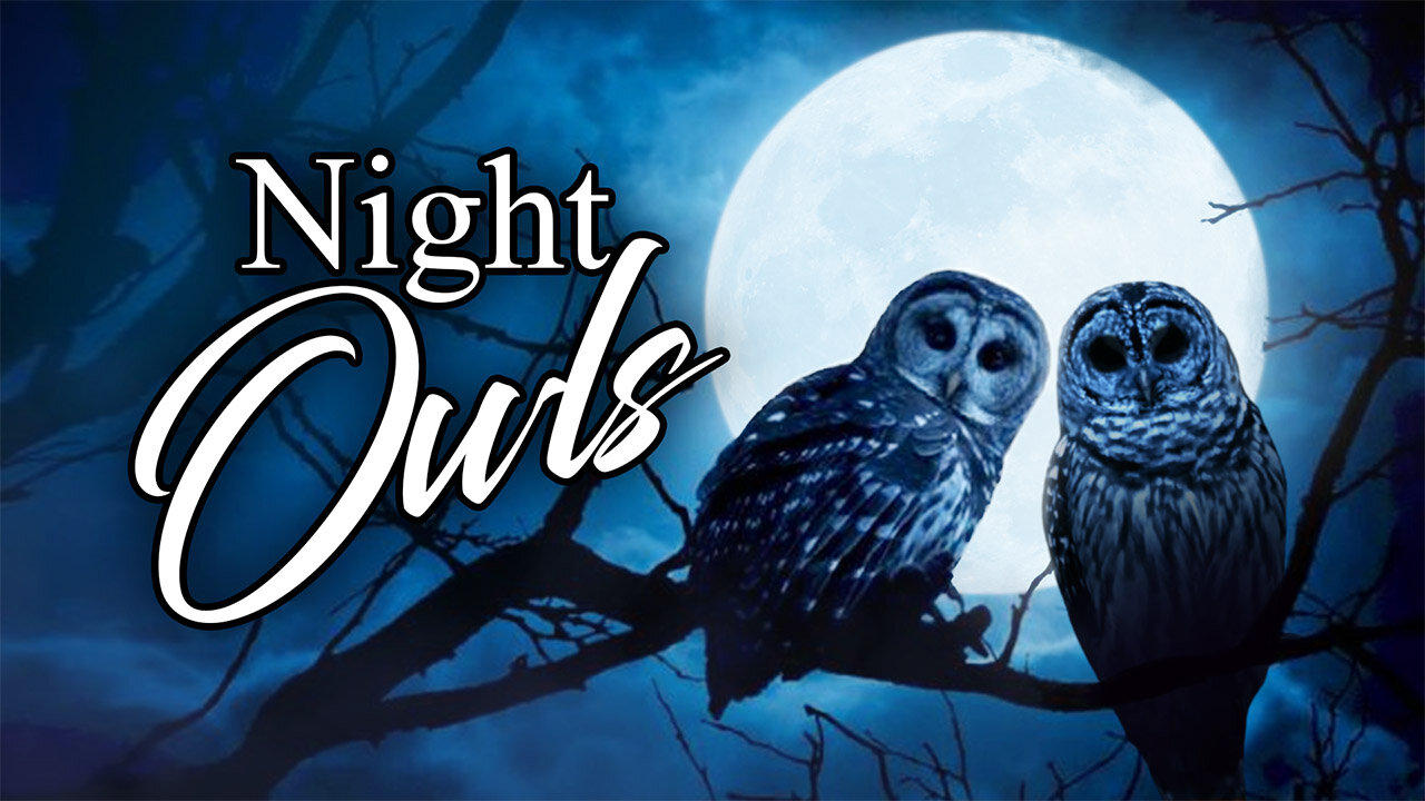 Night Owls - Sunday, November 12