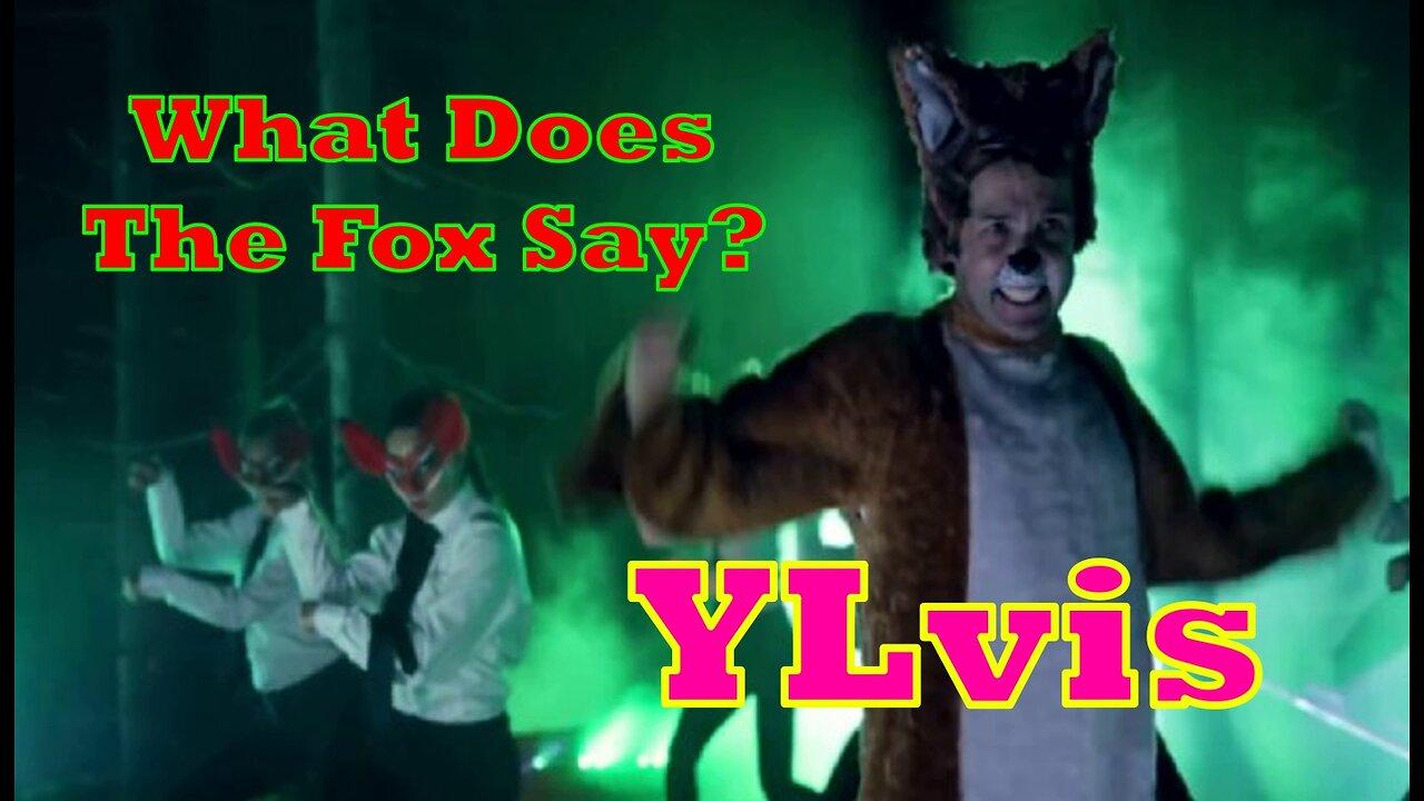 What Does The Fox Say? - YLvis