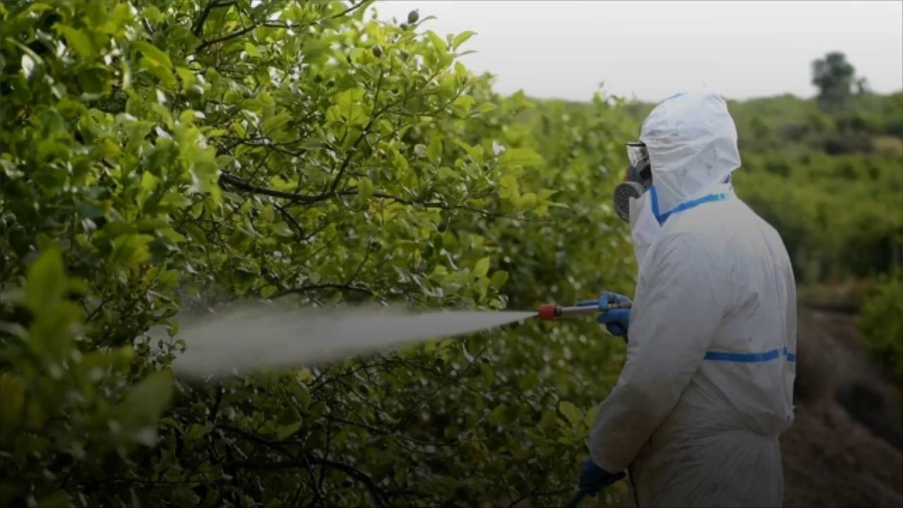 Pesticides Linked to Decline in Male Fertility