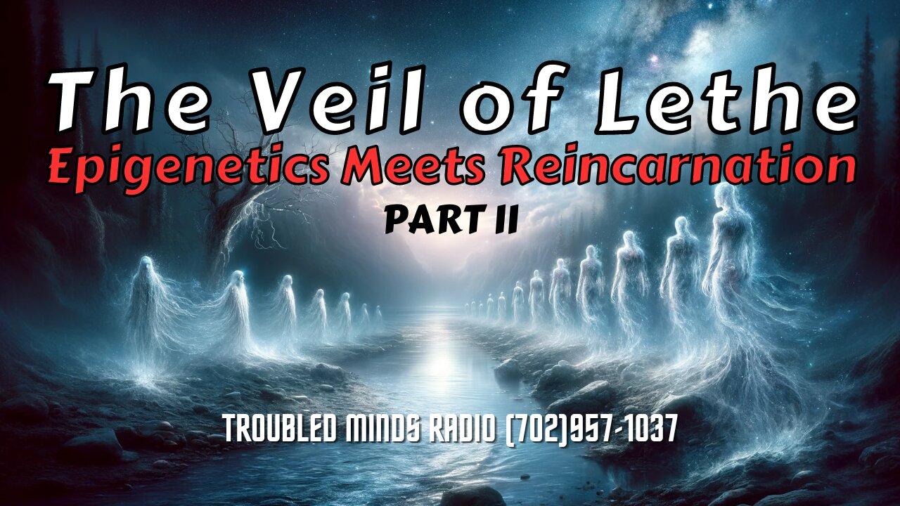 The Veil of Lethe - Epigenetics Meets Reincarnation Part II