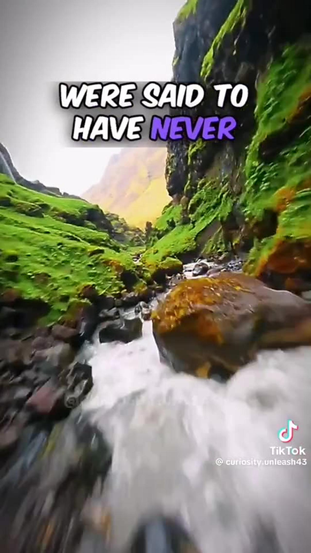 This One "Money Trees" Lyric Will Give You Chills - takmxjt