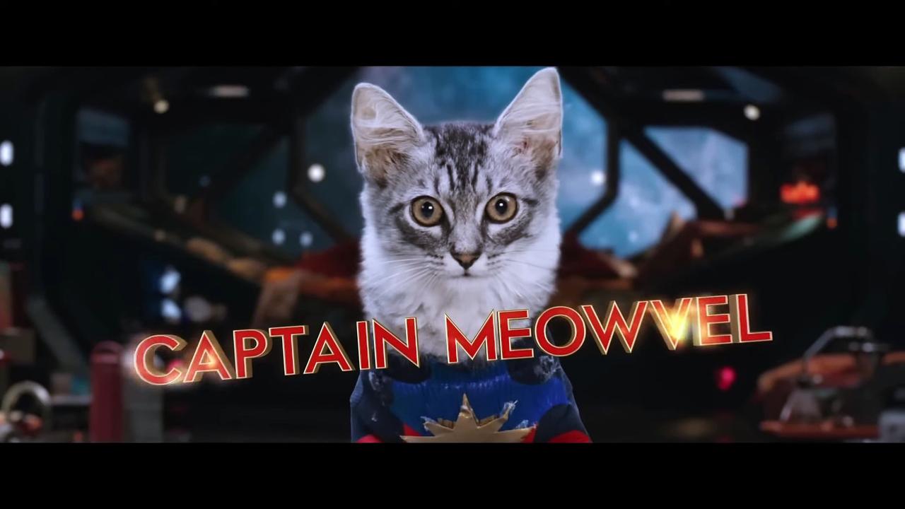 The Marvels Movie (20230 - The Meowvels