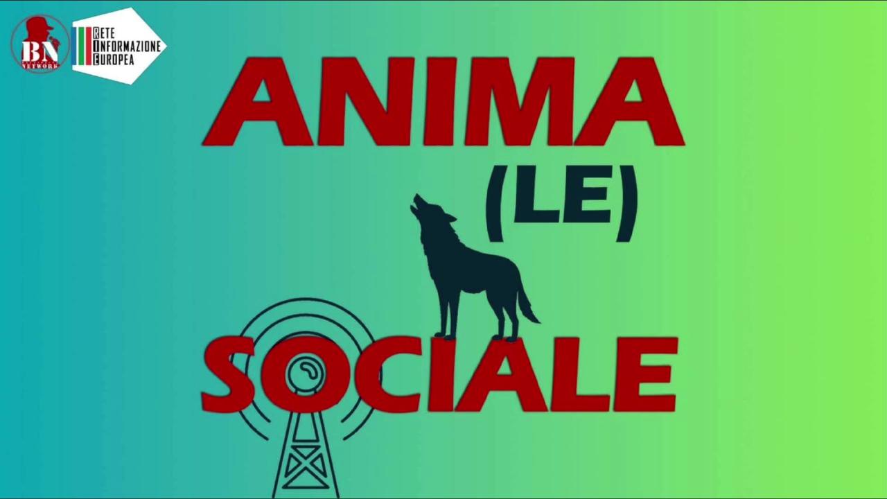 LA RADIO DEI GIOVANI - ANIMA(LE) SOCIALE
