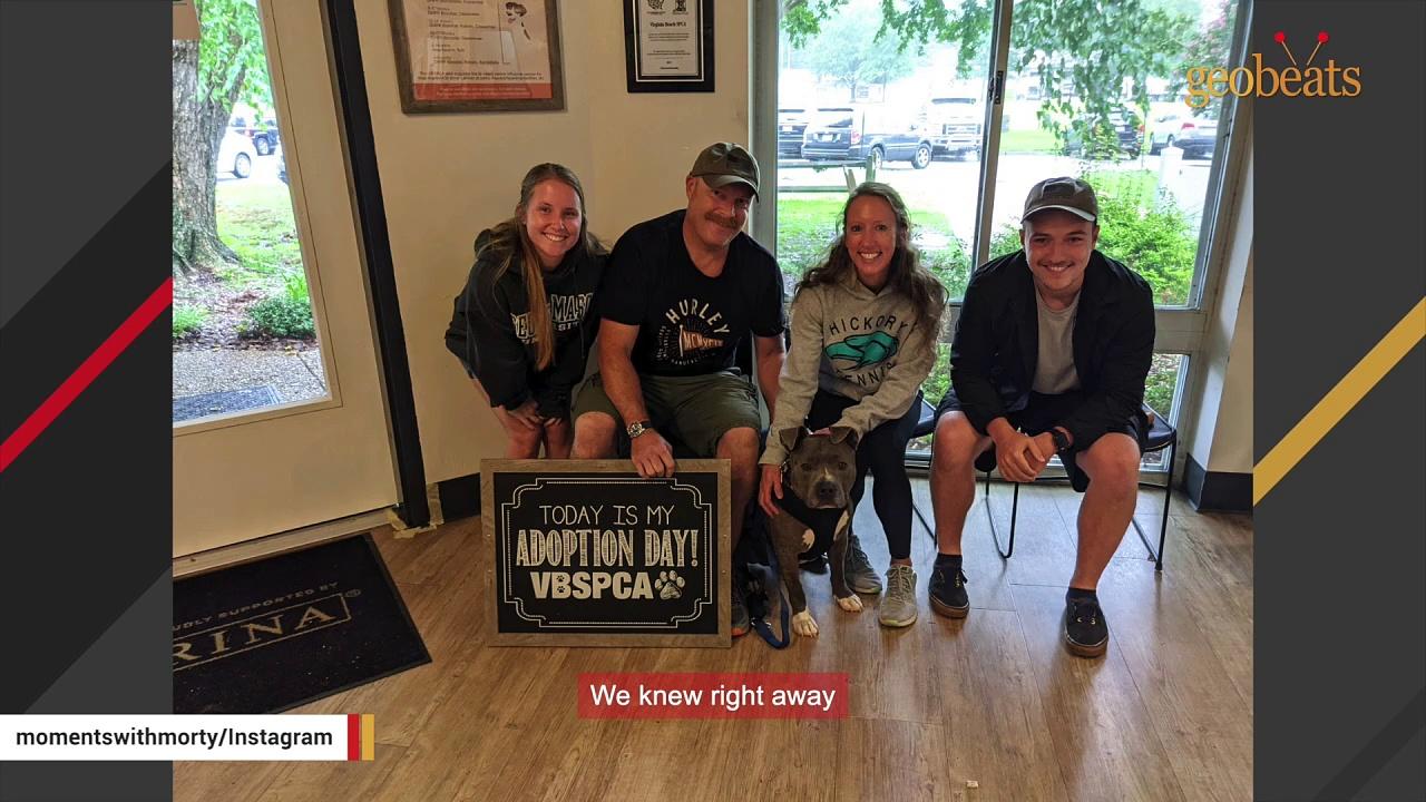 Chained dog is so loving to new family