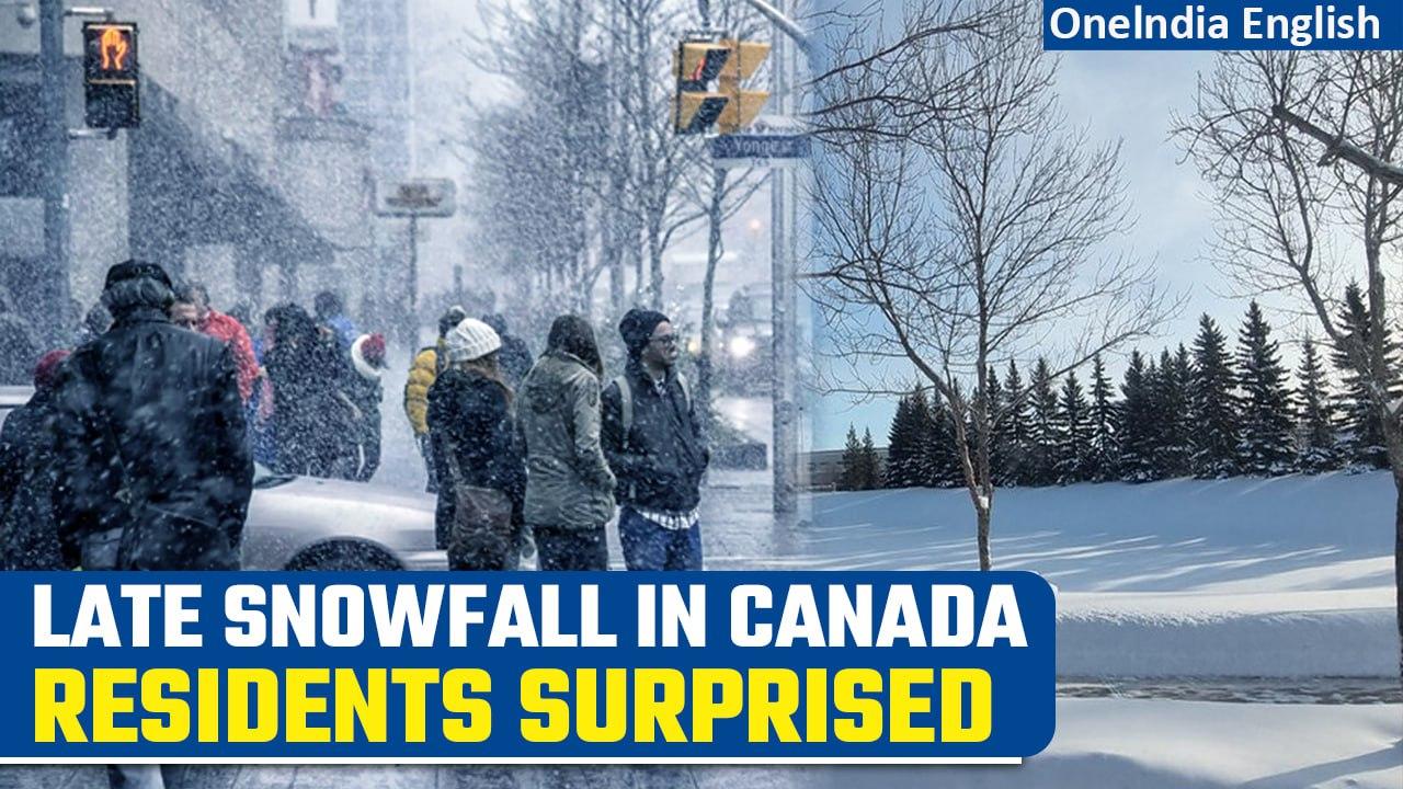 Canada Cities Break Tradition: Unusual Warmth Leaves November Snowless Amid El Niño| Oneindia
